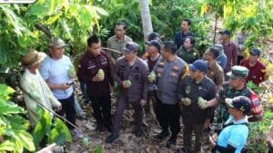 Pj Bupati Mura Dampingi Gubernur Kalteng Kunjungi Petani Kakao